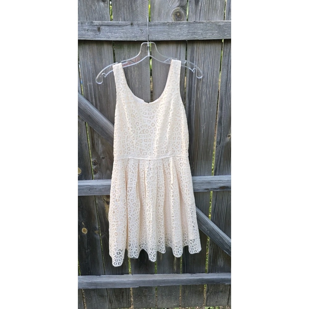 J Crew Blush Swirling Lace Dress Size 4